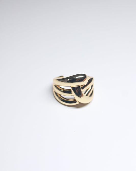 The Twistique Ring